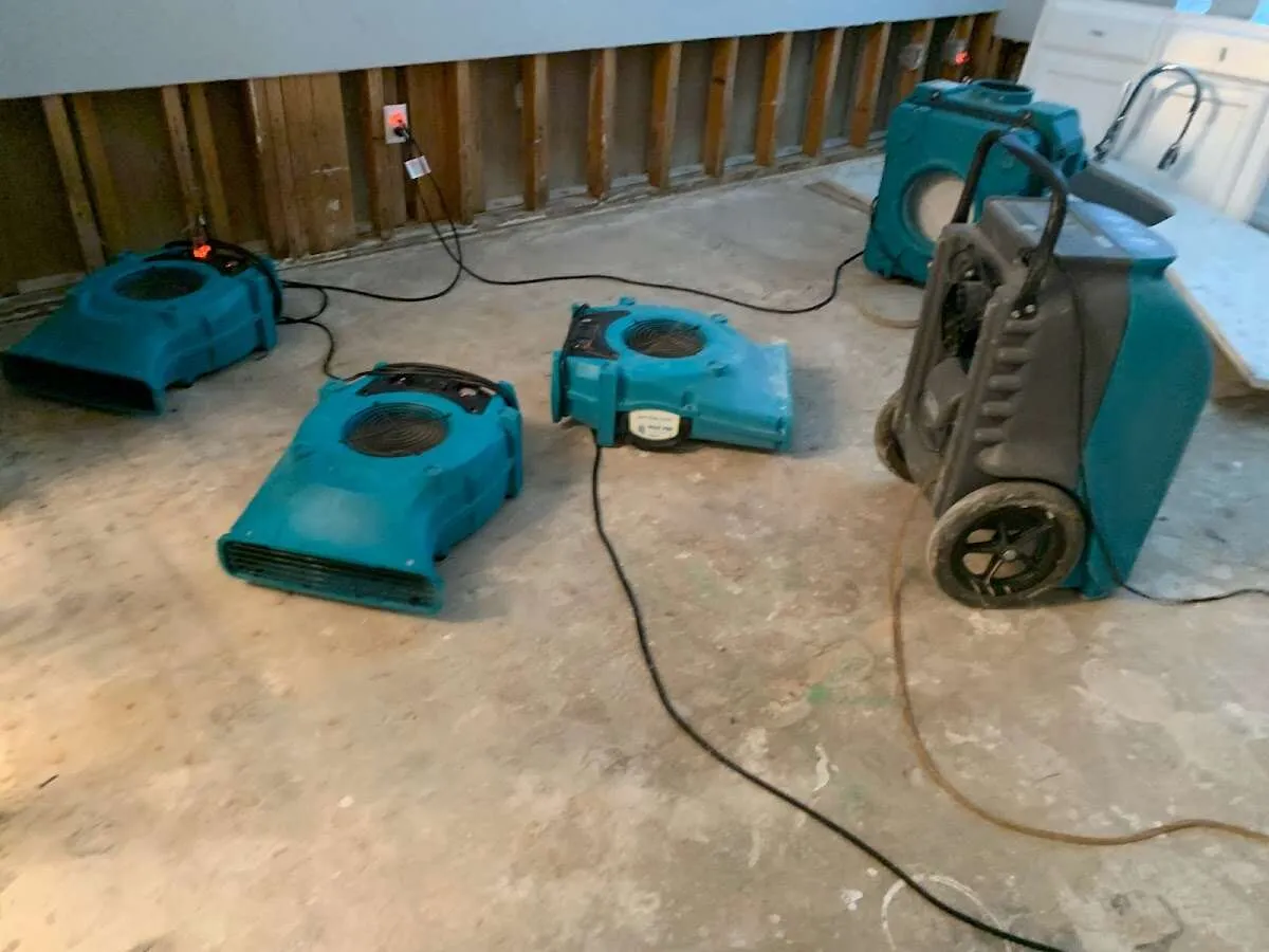 Drying & Dehumidification in Dexter, MO